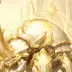 Shiny the Beetle Tank, a 3-star Light monster in Omigacha