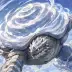 Sail the Turtle Colossus, a 4-star Wind monster in Omigacha